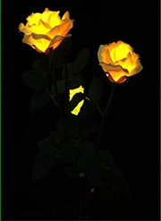 Solar Flower LED Light Artificial Rose Garden Landscape Decor Yellow by salelink.co.nz