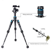 Action Outdoors Limited Beixin Mini Aluminum Tripod for Phones and Live Streaming Beixin Mini Aluminum Tripod for Phones and Live Streaming