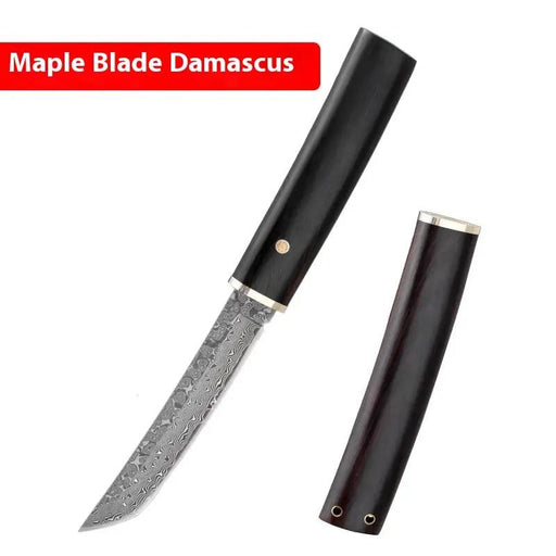 M390 Steel Damascus Steel Japanese Fruit Knife Fengye Horse VG10 Damascus Steel 220mm by China Dropship