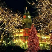 SportZone.co.nz Home & Garden > Lighting > Outdoor Lights 600 LED String Lights Carnival Wedding Outdoor Indoor Garden Lighting warm White, 100M 600 LED String Lights Carnival Wedding Outdoor Indoor Garden Lighting warm White, 100M