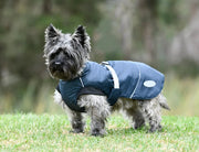 WeatherBeeta Explorer Medium Dog Coat by WeatherBeeta