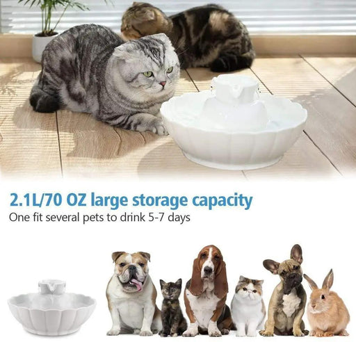 iPettie Ceramic Pet Drinking Fountain Water Cat by salelink.co.nz
