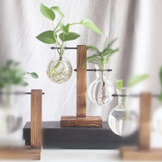 Hydroponic Vase Wooden Stand Glass Bulb Plants Container by salelink.co.nz