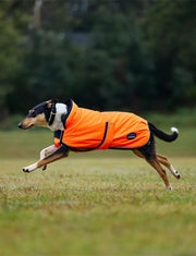 WeatherBeeta ComFiTec Reflective 300D Deluxe Showerproof Dog Coat by WeatherBeeta