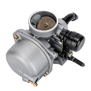 Carburetor PZ19 with Fuel Filter and 35mm Air Filter by salelink.co.nz