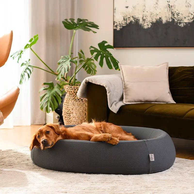 The Brooklyn Dog Beds Brooklyn® Nest Cooling Dog Bed (Orthopaedic Memory Foam) The Brooklyn Nest Cooling Dog Bed With Memory Foam