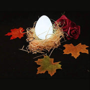7 Colors Night Light by salelink.co.nz