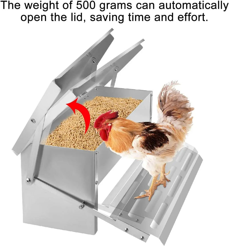 Automatic Chicken Feeder by salelink.co.nz