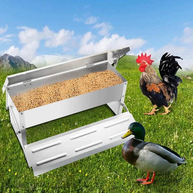 Automatic Chicken Feeder by salelink.co.nz