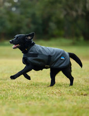 WeatherBeeta ComFiTec Classic Waterproof Dog Coat by WeatherBeeta
