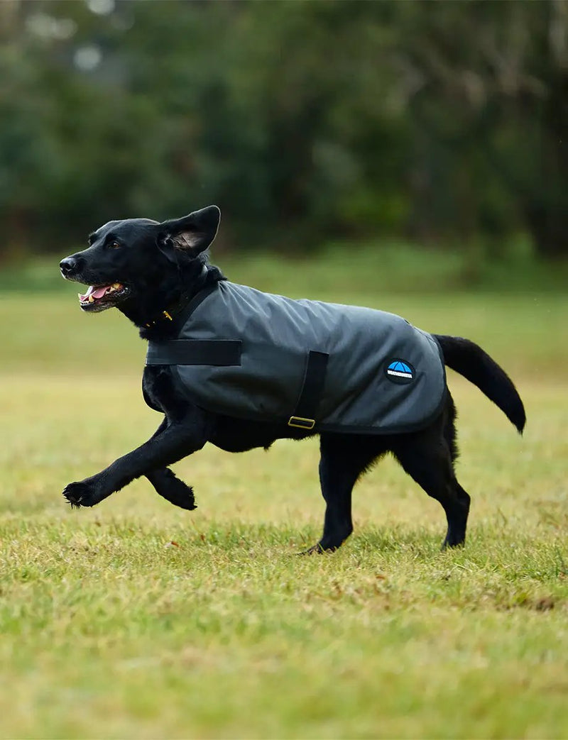 WeatherBeeta ComFiTec Classic Waterproof Dog Coat by WeatherBeeta