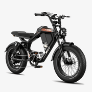 Kiwi eRide Kiwi eRide Luckeep M5 Electric Bike Luckeep M5 Electric Bike