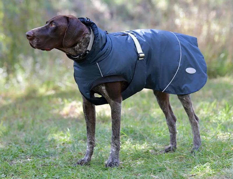 WeatherBeeta Explorer Medium Dog Coat by WeatherBeeta