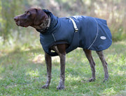WeatherBeeta Explorer Medium Dog Coat by WeatherBeeta