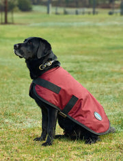 WeatherBeeta ComFiTec Classic Waterproof Dog Coat by WeatherBeeta