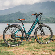 Kiwi eRide Kiwi eRide Fiido C11 Pro City E-Bike 48V 10.4Ah Removable battery Fiido C11 Pro City E-Bike 48V 10.4Ah Removable battery