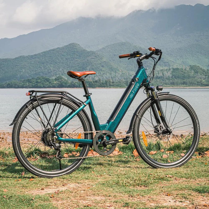 Kiwi eRide Kiwi eRide Fiido C11 Pro City E-Bike 48V 10.4Ah Removable battery Fiido C11 Pro City E-Bike 48V 10.4Ah Removable battery