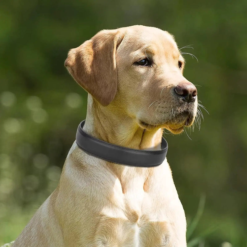 Adjustable Strong Heavy Duty PU Leather Dog Collar for Large Dogs by salelink.co.nz