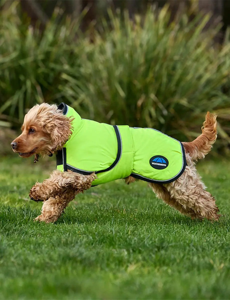 WeatherBeeta ComFiTec Reflective 300D Deluxe Showerproof Dog Coat by WeatherBeeta