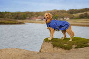 WeatherBeeta ComFiTec Windbreaker Free Dog Coat by WeatherBeeta