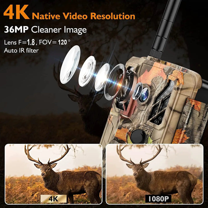 Action Outdoors Limited 4K 36MP WiFi Infrared Camera for Outdoor Animal Monitoring 4K 36MP WiFi Infrared Camera for Outdoor Animal Monitoring