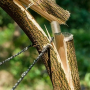 Pocket Chainsaw by salelink.co.nz