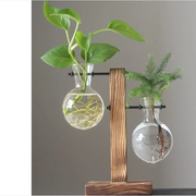 Hydroponic Vase Wooden Stand Glass Bulb Plants Container by salelink.co.nz