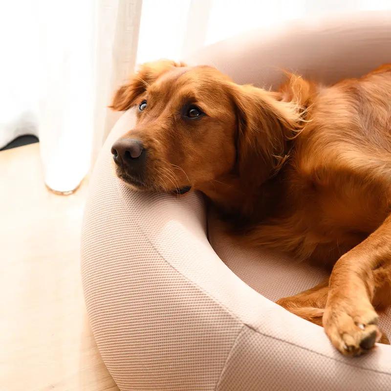 The Brooklyn Dog Beds Brooklyn® Nest Cooling Dog Bed (Orthopaedic Memory Foam) The Brooklyn Nest Cooling Dog Bed With Memory Foam
