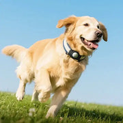BroDeals GPS Tracking Devices Smart Wireless Pet Tracker Tag w/ 9-12 Months Battery Life, Comfortable Collar Smart Wireless Pet Tracker Tag w/ 9-12 Months Battery Life, Comfortable Collar