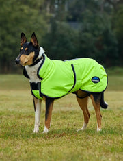 WeatherBeeta ComFiTec Reflective 300D Deluxe Showerproof Dog Coat by WeatherBeeta
