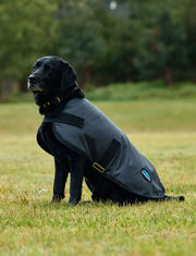 WeatherBeeta ComFiTec Classic Waterproof Dog Coat by WeatherBeeta