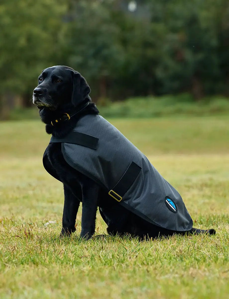 WeatherBeeta ComFiTec Classic Waterproof Dog Coat by WeatherBeeta