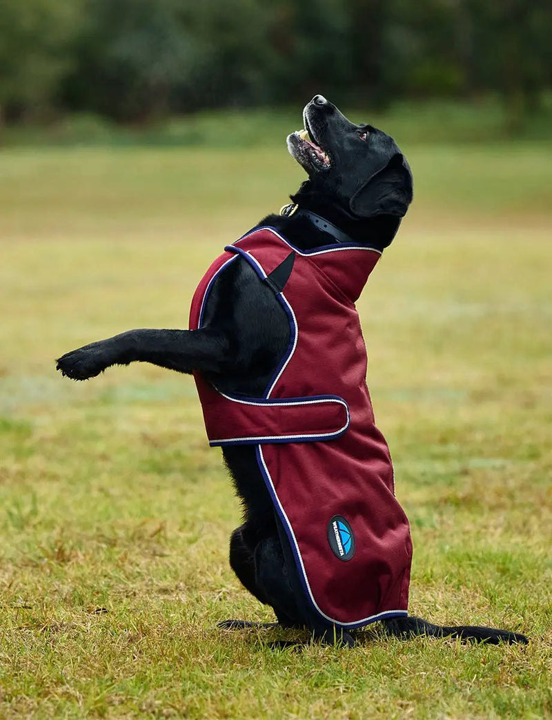 WeatherBeeta ComFiTec Premier Deluxe Waterproof Dog Coat by WeatherBeeta