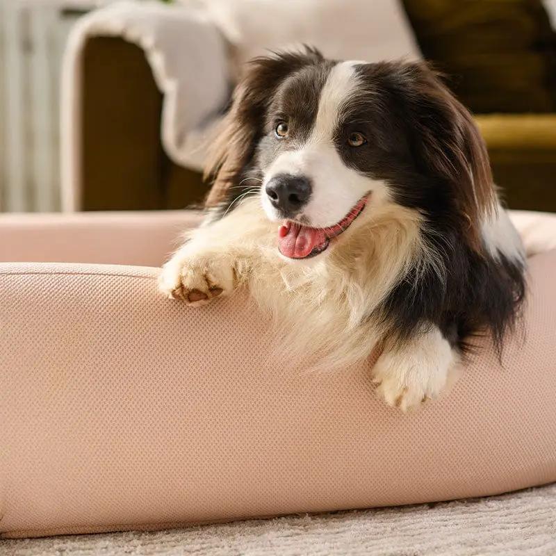 Brooklyn® Nest Cooling Dog Bed (Orthopaedic Memory Foam) by The Brooklyn