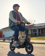 Kiwi eRide Kiwi eRide Electric Scooter with Seat GYROOR C1S Electric Scooter with Seat GYROOR C1S