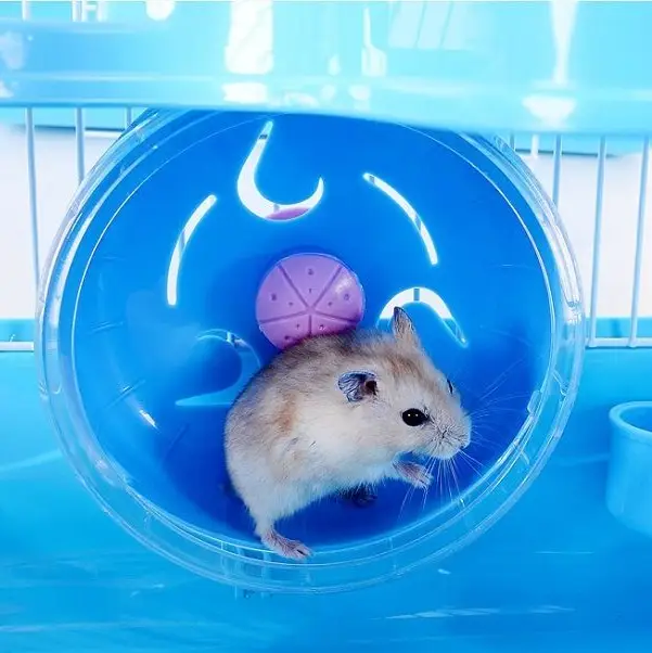 3 Tiers Gorgeous Hamster Mouse Cage pet toy Storey Fantasia Cage Castle - Pink by dealonline.co.nz