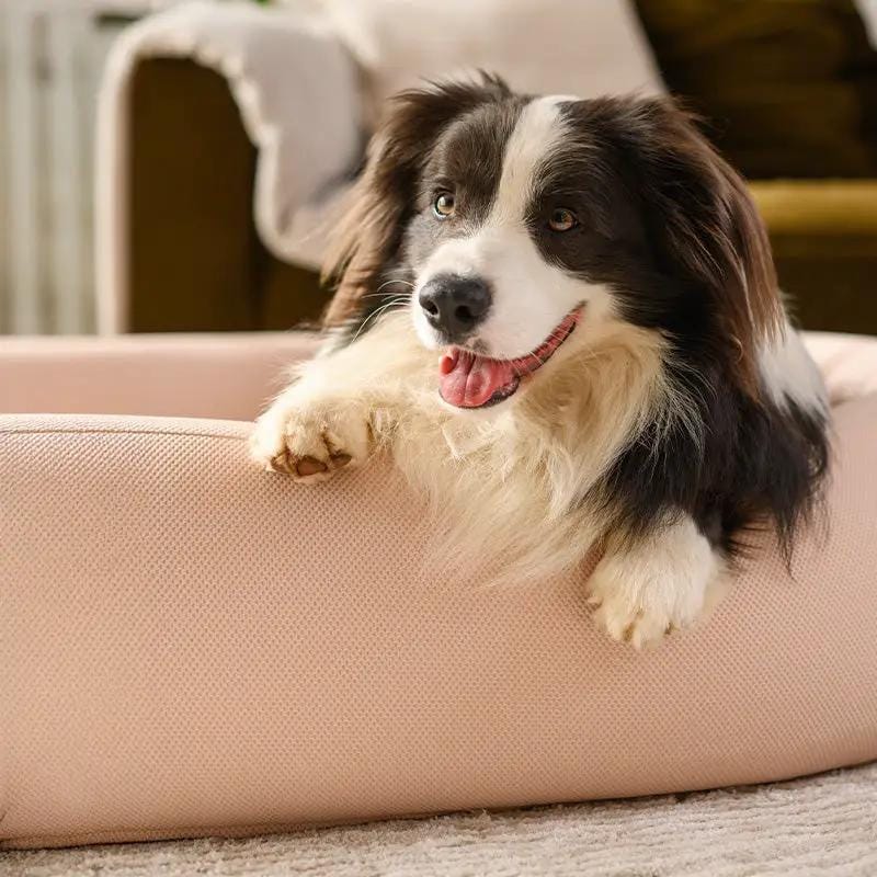 The Brooklyn Dog Beds Brooklyn® Nest Cooling Dog Bed (Orthopaedic Memory Foam) The Brooklyn Nest Cooling Dog Bed With Memory Foam