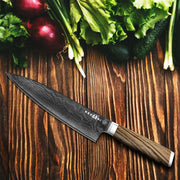Kegani Chef Knife - 8 Inch Japanese Knife, 67 Layers Japanese VG-10 Damascus Steel Ultra Sharp Kitchen Knife, Professional Chef Knife Gyuto Knife- Ergonomic FullTang Handle - Chef Knife by China Dropship