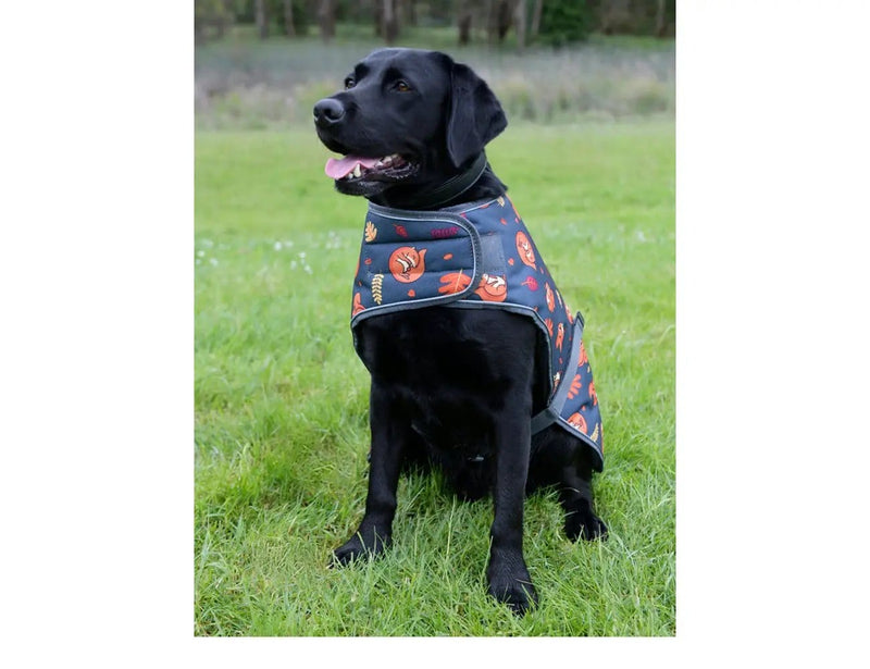 WeatherBeeta ComFiTec Premier Free Parka Dog Coat Medium by WeatherBeeta