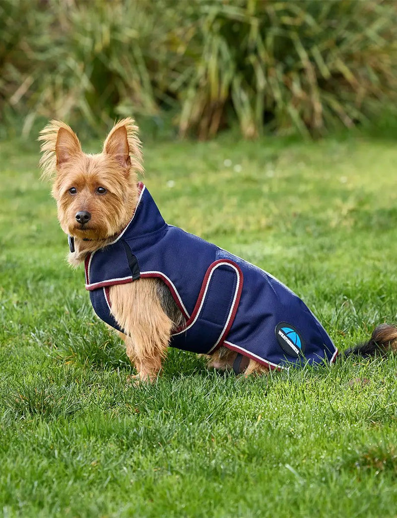 WeatherBeeta ComFiTec Premier Deluxe Waterproof Dog Coat by WeatherBeeta