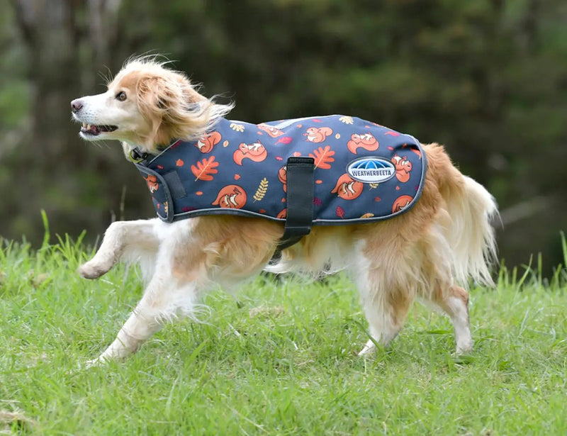 WeatherBeeta ComFiTec Premier Free Parka Dog Coat Medium by WeatherBeeta