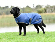 WeatherBeeta ComFiTec Windbreaker Free Dog Coat by WeatherBeeta