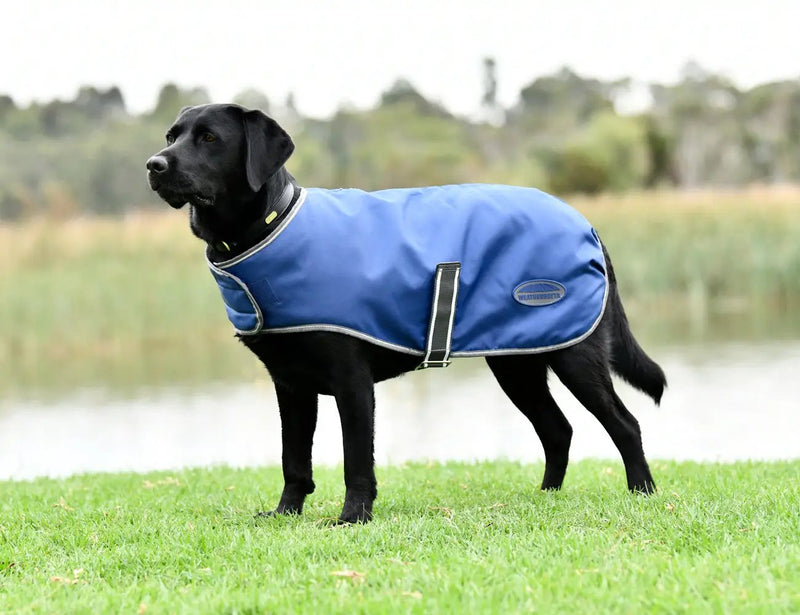 WeatherBeeta ComFiTec Windbreaker Free Dog Coat by WeatherBeeta