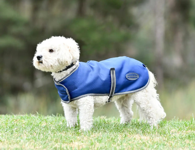 WeatherBeeta ComFiTec Windbreaker Free Dog Coat by WeatherBeeta