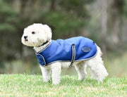 WeatherBeeta ComFiTec Windbreaker Free Dog Coat by WeatherBeeta