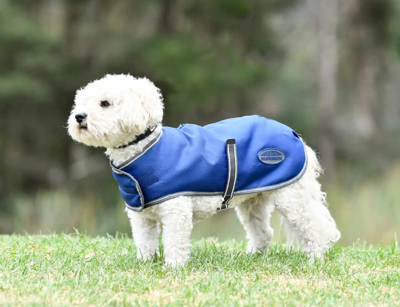 WeatherBeeta ComFiTec Windbreaker Free Dog Coat by WeatherBeeta