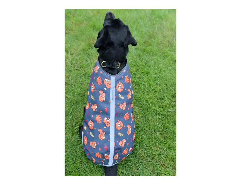 WeatherBeeta ComFiTec Premier Free Parka Dog Coat Medium by WeatherBeeta