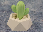 Cactus Moulds for NON-TOXIC COMPOSITE RESIN Jesmonite, Aqua Resin, Bramblier and Cement by Resin Art NZ