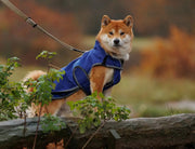 WeatherBeeta ComFiTec Premier Free Duo Deluxe Parka Dog Coat by WeatherBeeta