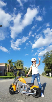 Kiwi eRide Kiwi eRide Ages 4 - 9 , Kids electric scooter Ages 4 - 9 , Kids electric scooter